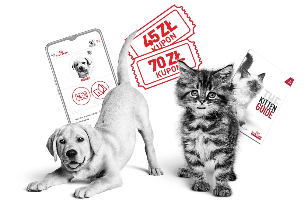 Royal Canin
