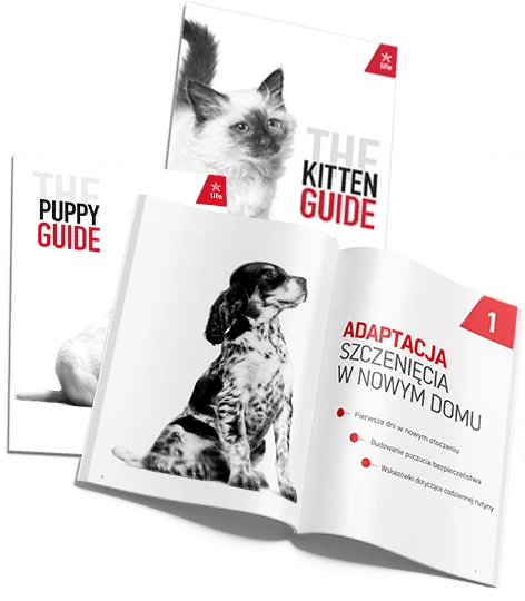 Royal Canin